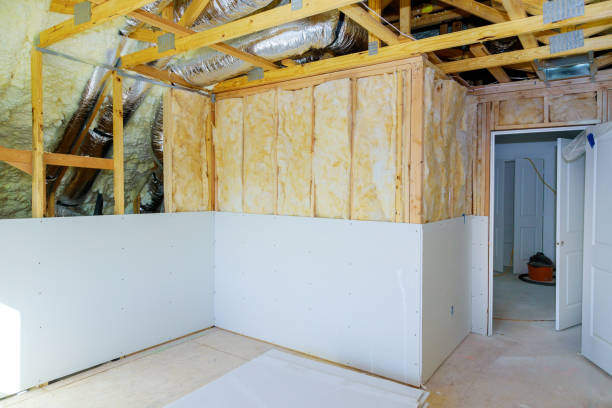Best Insulation Maintenance and Repair in Harristown, IL