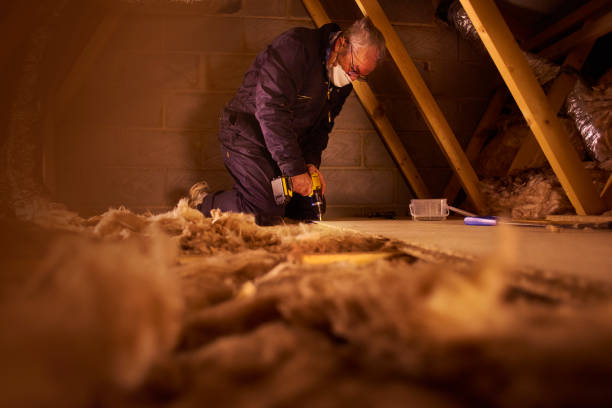 Best DIY Insulation Kits and Guidance in Harristown, IL